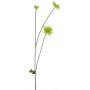 Flor decorativa crisantemo YUNJUAN, color crema, 60 cm
