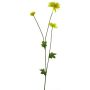 Flor decorativa crisantemo YUNJUAN, amarilla, 60 cm