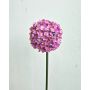 Flor artificial Allium LOKJAN, rosa, 70 cm