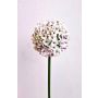 Flor artificial Allium LOKJAN, blanco-violeta, 70 cm
