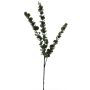 Rama de eucalipto artificial XIJIAN, verde, 75 cm