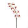 Rama falsa de orquídea Cymbidium OKSANA, blanco-rosa, 80cm