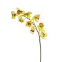 Rama falsa de orquídea Cymbidium OKSANA, amarillo-verde, 80cm