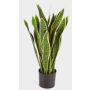Sansevieria de plástico BEYZA, verde-amarillo, 80cm