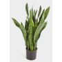 Sansevieria de plástico BEYZA, verde, 95cm