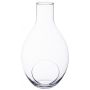 Botella terrario de cristal VINELLA, transparente, 38cm, Ø22cm
