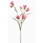 Rama decorativa de campanilla EMMELY, rosa oscuro, 65 cm, Ø 5 cm