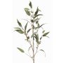 Rama decorativa de eucalipto JURKA con frutos, verde-gris, 115 cm