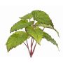 Begonia decorativa de hojas KATRICE para clavar, ignífuga, verde, 25cm