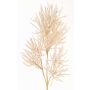 Rama decorativa de coral BILBAS, color crema, 70cm