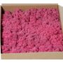 Musgo natural islandés SVEINBJÖRN, rosa fuerte, 2,7 kg