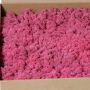 Musgo natural islandés SVEINBJÖRN, fucsia, 2,7kg