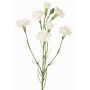 Rama decorativa de clavel PIARA, blanca, 60 cm, Ø 3-5 cm