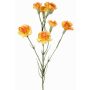 Rama decorativa de clavel PIARA, naranja-amarillo, 60 cm, Ø 3-5 cm