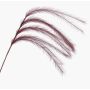 Rama decorativa de hierba pluma con espigas LUMINIA, rojo burdeos, 135 cm