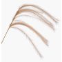 Rama decorativa de hierba pluma con espigas LUMINIA, beige, 135 cm