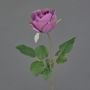 Flor artificial decorativa rosa POPI, violeta y verde, 55 cm, Ø 7 cm