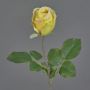 Flor artificial decorativa POPI, amarillo-verde-rosa, 55 cm, Ø 7 cm