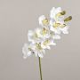Rama artificial de orquídea Cymbidium LANAKILA, blanca, 70 cm, Ø 9 cm