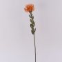 Flor decorativa «Protea URMINE» para alfiletero, aspecto seco, naranja, 60 cm, Ø 9 cm