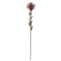 Flor decorativa para alfiletero Protea URMINE, aspecto seco, rojo burdeos, 60 cm, Ø 9 cm