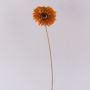 Flor decorativa Gerbera TUNGUSKA, aspecto seco, naranja, 55 cm, Ø 11 cm