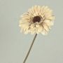 Flor decorativa Gerbera TUNGUSKA, aspecto seco, crema-beige, 55 cm, Ø 11 cm
