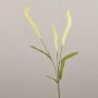 Rama de liriope artificial JELIKANTA con panículas, verde crema, 60 cm