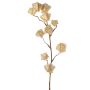 Rama artificial de physalis AINOS, frutos, purpurina, color crema, 80 cm
