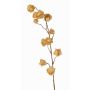 Rama sintética de physalis AINOS, frutos, purpurina, beige, 80cm