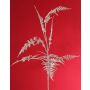 Rama artificial de Asparagus plumosus GIONA, plateada, 85 cm