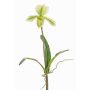 Orquídea Paphiopedilum decorativa VELANA, con soporte, verde-blanco, 40cm
