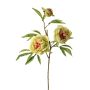 Rama artificial de peonía MANJA, verde y rosa, 70 cm, Ø 8-10 cm