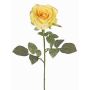 Rosa de terciopelo HUSA, amarilla, 75 cm, Ø 10 cm