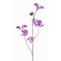Flor decorativa Lathyrus ASFALOTH, morada, 65 cm, Ø 3-5 cm