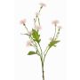 Flor decorativa de centáurea de prado HOLLA, rosa pálido, 55 cm, Ø 3-4 cm