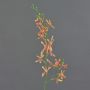 Rama de flores artificial de orquídea Cattleya TRASSA, naranja-amarillo-rojo, 80 cm, Ø 4-8 cm