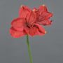 Amarilis artificial NARWELA, rojo, 70 cm, Ø 10-13 cm