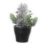 Arreglo floral artificial de abeto, lúpulo y bayas artificiales VIANNO, con nieve, maceta decorativa, verde y blanco, 14 cm, Ø 11 cm