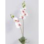 Orquídea Phalaenopsis artificial NAARA, con varilla, blanco-fucsia, 75cm