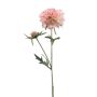 Rama artificial de escabiosa BASOLO, rosa-crema, 55 cm