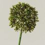 Allium artificial HELLA, con purpurina, verde-dorado, 45 cm, Ø 8 cm