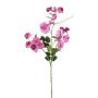 Rama artificial de Lathyrus latifolius PLENVO, rosa, 75 cm