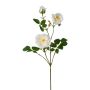 Rama artificial de peonía KROVEL, color crema, 75 cm
