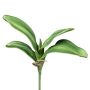 Hojas decorativas de orquídea Phalaenopsis CRILMER, varilla, raíces aéreas, 30 cm