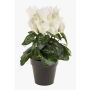 Flor artificial de ciclamen HEIDI en maceta decorativa, color crema, 25 cm, Ø 5-8 cm