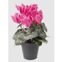 Flor artificial de ciclamen HEIDI en maceta decorativa, rosa chillón, 25 cm, Ø 5-8 cm