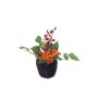 Arreglo floral artificial de dalias y escaramujos ABED en cesta, naranja-rojo, 17 cm, Ø 10 cm