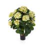Hydrangea artificial HARUKA sobre tallo, verde, 60cm, Ø9-16cm