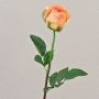 Rosa de terciopelo SAPINA, amarillo-naranja, 60 cm, Ø 6 cm